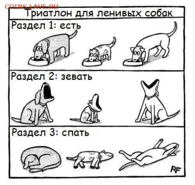 юмор - IMG-20220928-WA0000