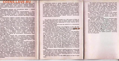 Открытки МИР АКВАРИУМА 1987 г. до 05.10.22 г. в 23.00 - 025