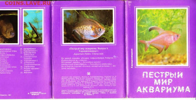 Открытки МИР АКВАРИУМА 1987 г. до 05.10.22 г. в 23.00 - 028