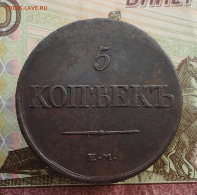 5 копеек 1831 года ем фх. До 3.10.22. - DSC01786.JPG