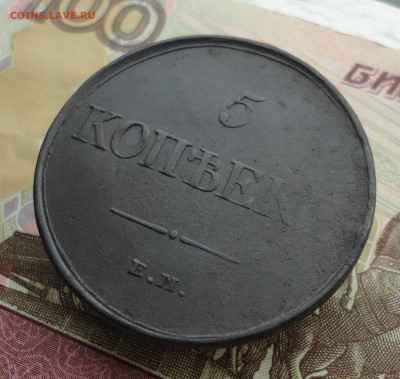 5 копеек 1831 года ем. До 3.10.22. - DSC01800.JPG