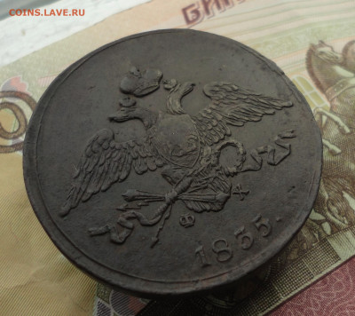 5 копеек 1835 года ем фх. Лот №1. До 3.10.22. - DSC01936.JPG