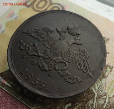5 копеек 1835 года ем фх. Лот №1. До 3.10.22. - DSC01934.JPG