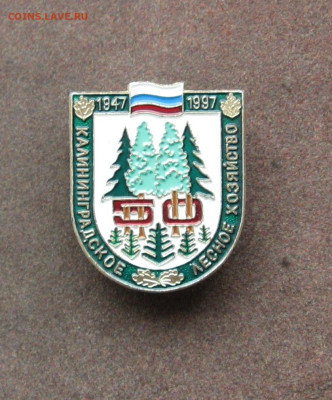 50 лет Калининградскому лесному хозяйству до 22.00 09.10.22 - IMG_0155.JPG
