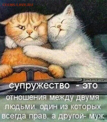 юмор - i1