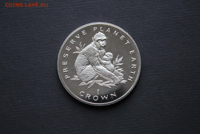 Гибралтар 1 крона 1995 Обезьяна UNC до 08.10. - IMG_7858.JPG