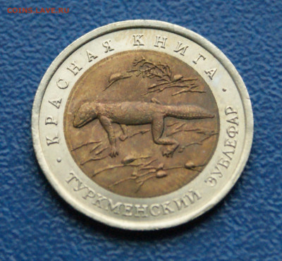 КК 50 рублей 1993 г. Туркменский эублефар до 12.10 - 14.1.6.JPG