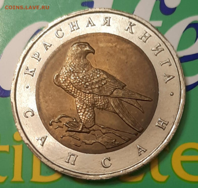 Сапсан Красная Книга 50р.1994г.До 12.10.22:00. - 20221006_221943