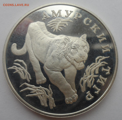 1 рубль 1993 ЛМД «Амурский тигр» - SAM_0249.JPG