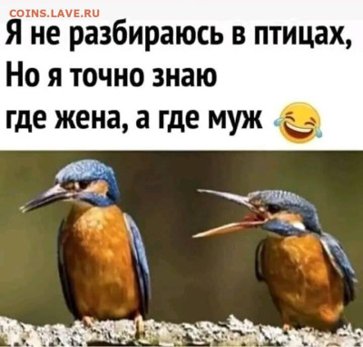 юмор - i1
