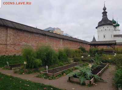ФОТО - просто фото. Те что получились удачными. - Screenshot_20221007-232628_Gallery