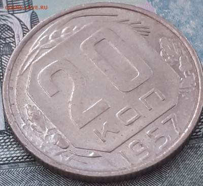 20 копеек 1957. Не копаная - 20221008_123754