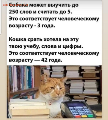 юмор - Screenshot_20221008-065634_Instagram