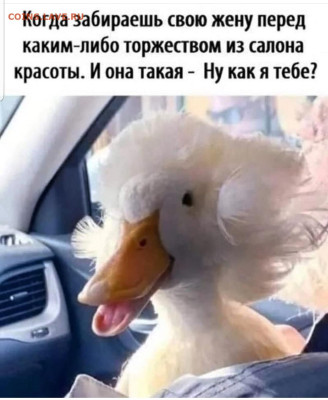 юмор - Screenshot_20221008-222804_Instagram