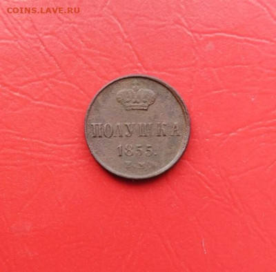 Полушка 1855 ЕМ до 11.10.2022г. в 22.10 мск - 23