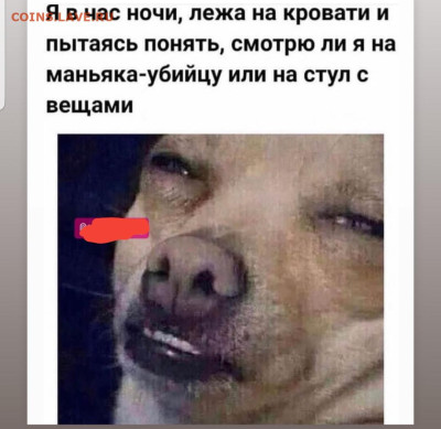 юмор - Screenshot_20221008-065530_Instagram