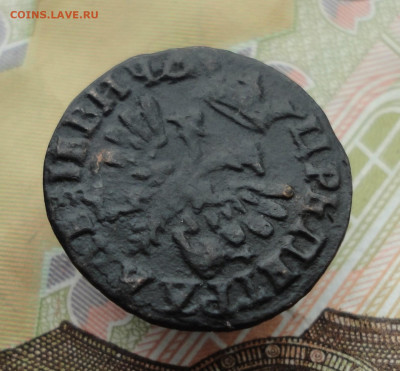 Полушка 1707 года. - DSC02299.JPG