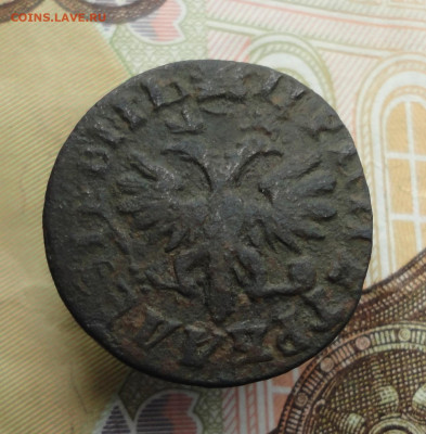 Полушка 1707 года. - DSC02281.JPG