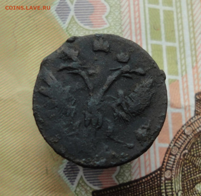 Полушка 1707 года. - DSC02313.JPG