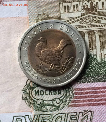 Красная книга 50 рублей 1993 г. Тетерев. до 14.10 - 13