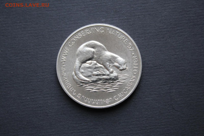 Армения 100 драм 1997 Выдра UNC до 15.10 - IMG_7873.JPG