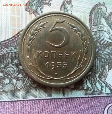 5 копеек 1955. До 15.10.22 в 22.00 - 20221012_172431