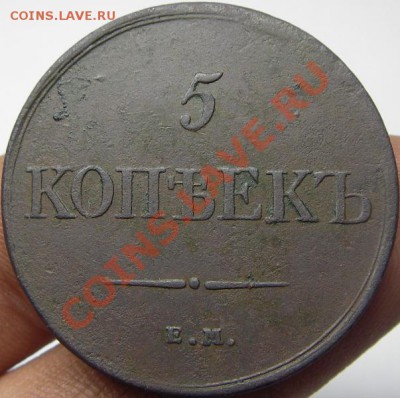 5 копеек 1831 ЕМ ФХ (оценка) - IMGP6973.JPG