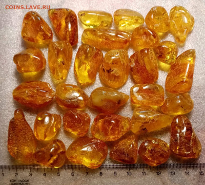 Куплю Янтарь, Иконы, Будды Бронза, Коралл, Бакелит... - i (32)
