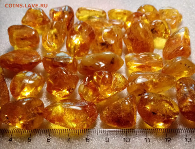 Куплю Янтарь, Иконы, Будды Бронза, Коралл, Бакелит... - i (33)