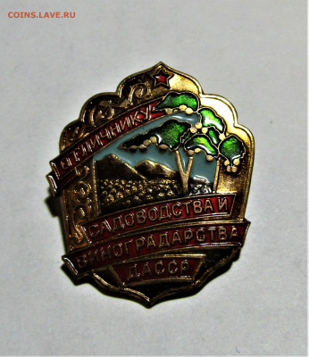 Знак отличнику садоводства ДАССР до 20.10.22 г. - IMG_3732.JPG