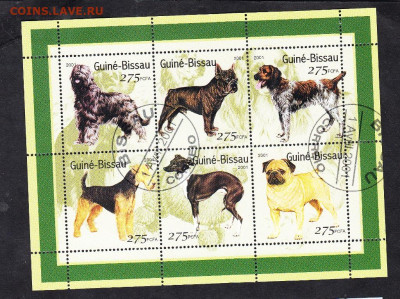 Гвинея Бисау 2001 собаки 2 листа до 19 10 - 126