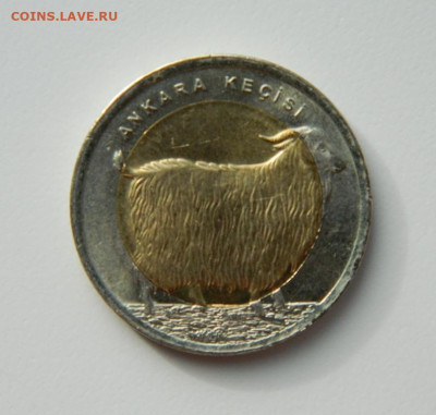 Турция 1 лира 2015 г.(Юбилейная) Коза Ангора до 19.10.22 - DSCN3217.JPG