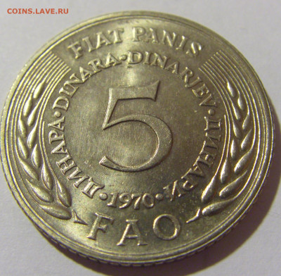 5 динар 1970 ФАО Югославия №1 20.10.22 22:00 М - CIMG4481.JPG