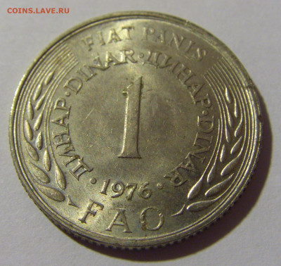 1 динар 1976 ФАО Югославия №2 20.10.22 22:00 М - CIMG4497.JPG