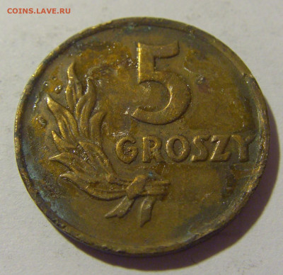 5 грош 1949 бронза Польша №1 21.10.22 22:00 М - CIMG4893.JPG