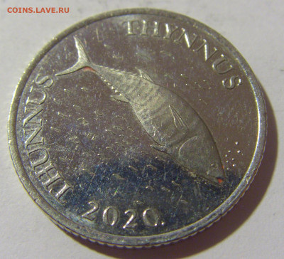2 куны 2020 Хорватия №1 21.10.22 22:00 М - CIMG5054.JPG