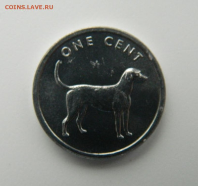 Острова Кука 1 цент 2003 г. (Гончая) до 19.10.22 - DSCN3358.JPG