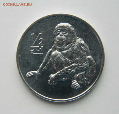 2 чон 2002 г.(Юбилейная) Жирафы до 19.10.22 - DSCN3329.JPG