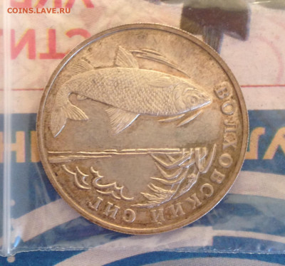 1р 2005г Волховский Сиг 22.10.2022 22.00 МСК. - 2022-10-17 17-25-24.JPG