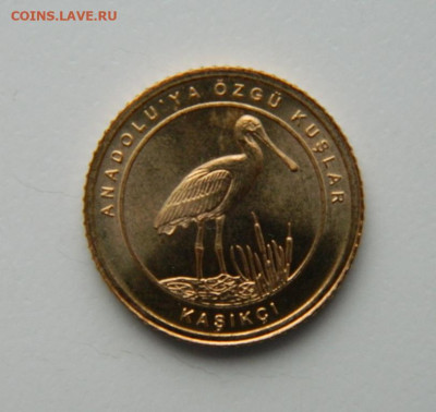 Турция 1 куруш 2021 г.(Юбилейная) Фауна до 19.10.22 - DSCN3351.JPG