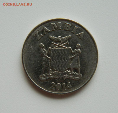 Замбия 1 квача 2014 г. (Фауна) до 19.10.22 - DSCN2870.JPG