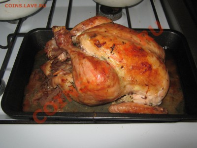 Любимая курочка - IMG_3824.JPG