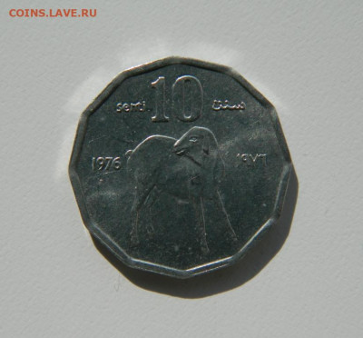 Сомали 10 центов 1976 г. (Фауна)  до 24.10.22 - DSCN3103.JPG