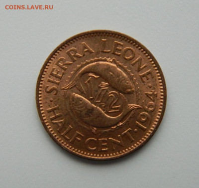 2 цента 1964 г.(Рыбы)  до 24.10.22 - DSCN3420.JPG