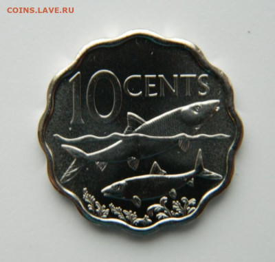 Багамские острова 10 центов 2010 г. (Фауна) до 24.10.22 - DSCN3333.JPG