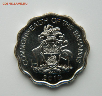 Багамские острова 10 центов 2010 г. (Фауна) до 24.10.22 - DSCN3334.JPG