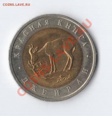 Джейран 1994 года до 04.12 до 22.10 МСК - джейран