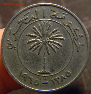 100 филс бахрейн 1965 - DSCN3140_thumb