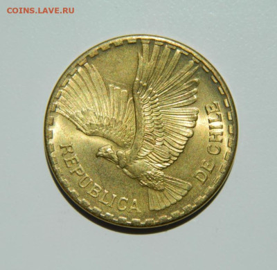 Чили 10 сентесимо 1966 г. (Кондор). до 26.10.22 - DSCN0292.JPG