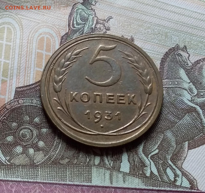 5 копеек 1931. До 25.10.22 в 22.00 - 20221021_130905
